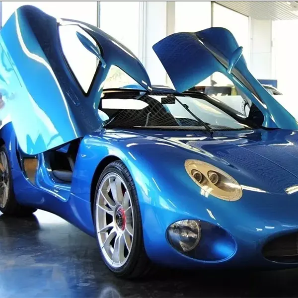 Toroidion HyperCar SuperCar Exotic LeMans Race Car Custom Built1:12SCALE MODEL